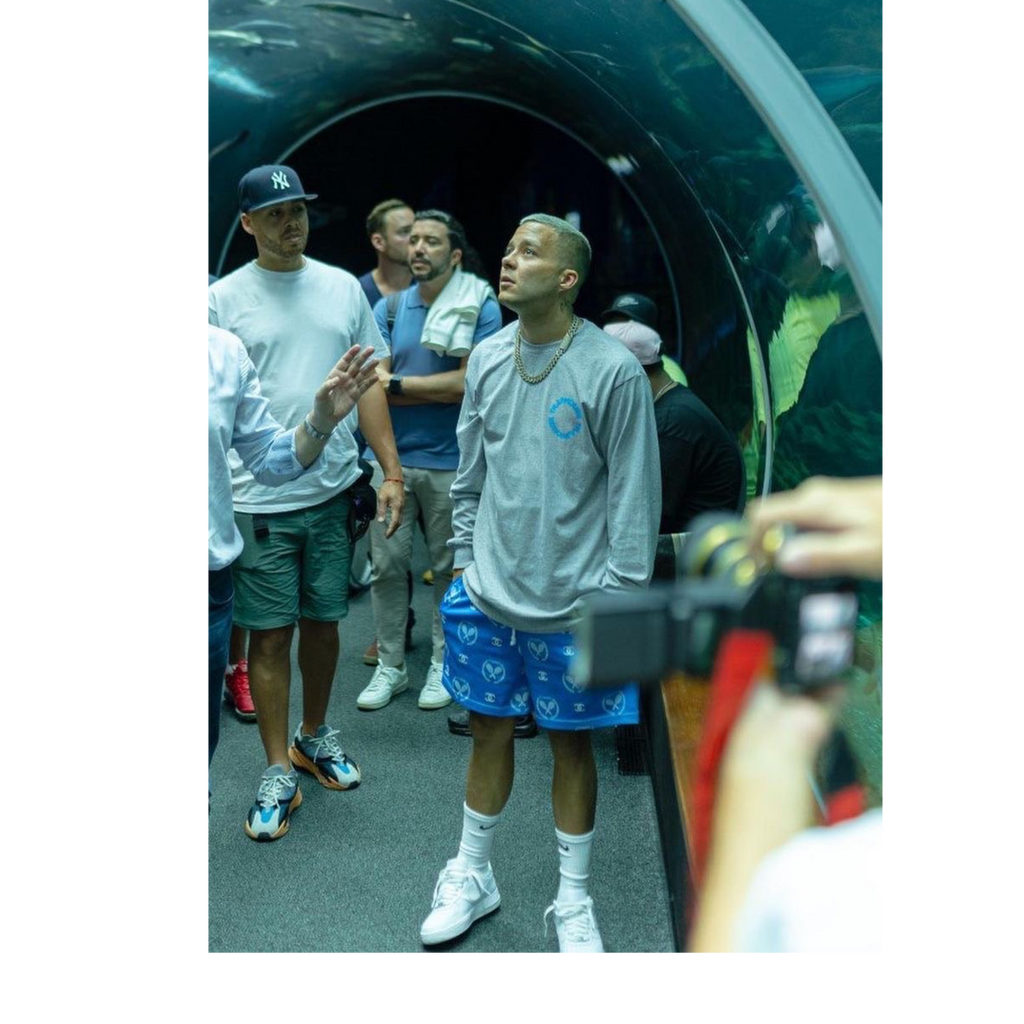 Butterfly Grey long sleeve