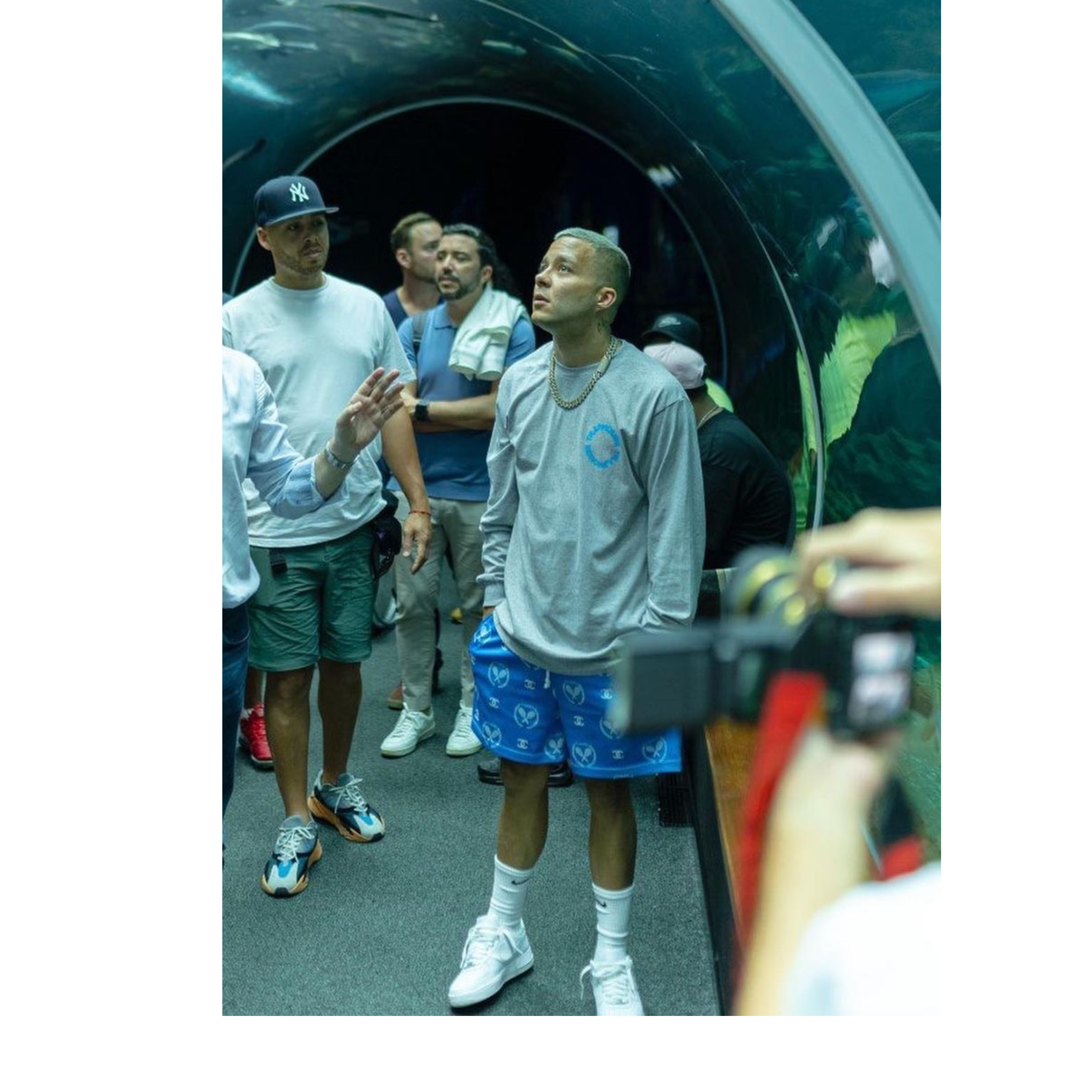 Butterfly Grey long sleeve